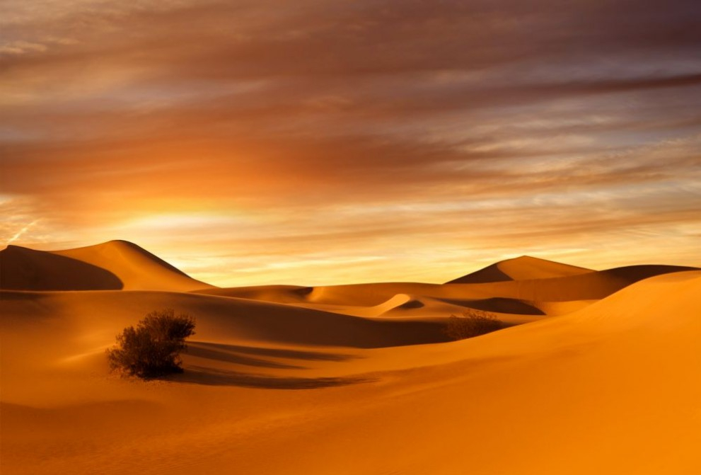 Зверство в пустинята край Абу Даби: Откриха 150 трупа на... ВИДЕО 18+