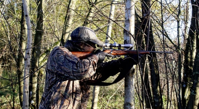 Опитен ловец повали с един изстрел 250-кг звяр в Родопите 