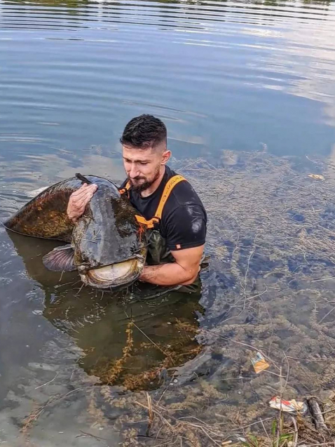 Гръцки рибар извади 70-кг чудовище и го остави живо СНИМКИ