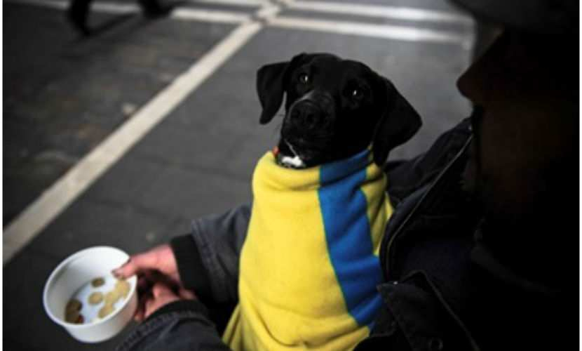 В Германия масово се множат бездомните украинци