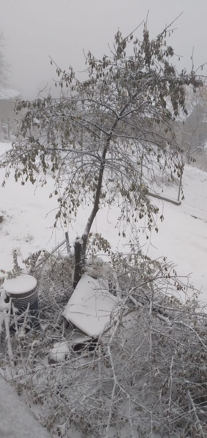 Извънредно: България в снежен капан, положението на тези места вече е страшно СНИМКИ