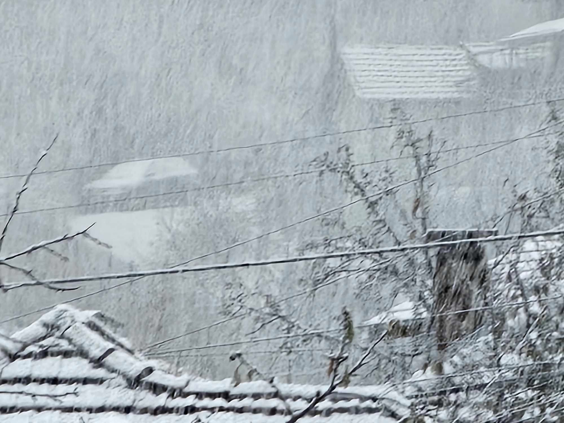 НИМХ алармира: Червен код за снежен ураган на тези места в неделя КАРТА 