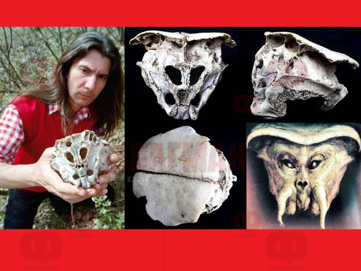 Наш уфолог откри в Родопите череп на извънземно с 6 кухини 
