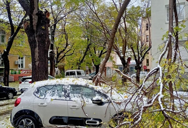 Зловещо: Пловдивчани се вцепениха от ужасяваща гледка в снега в кв. "Кючук Париж" СНИМКИ