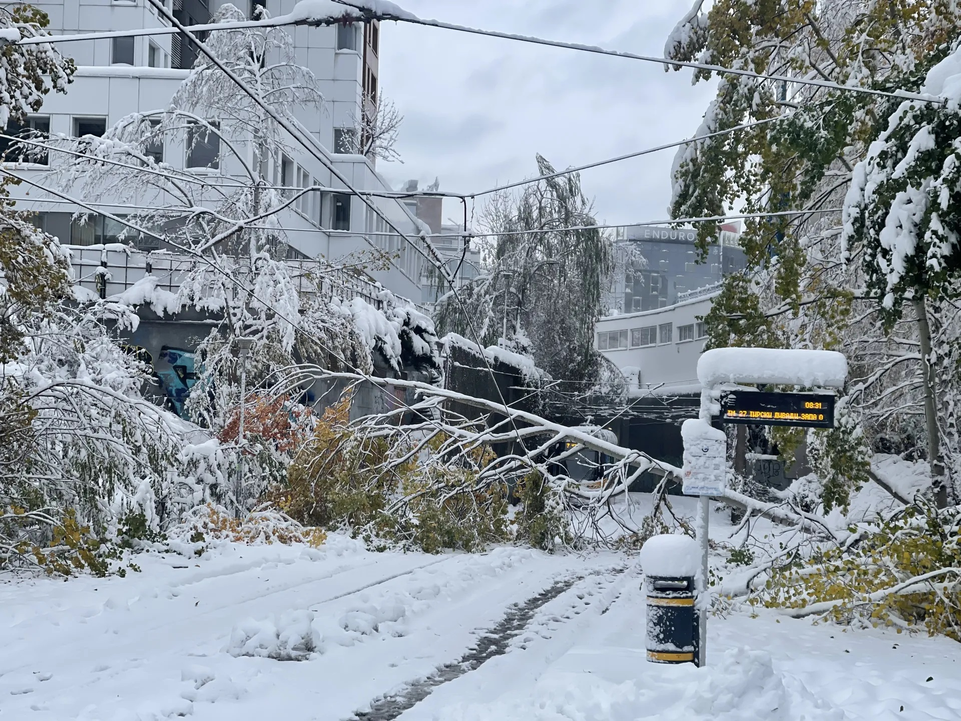 Кошмар: Разкриха колко българи са без ток заради свирепия сняг