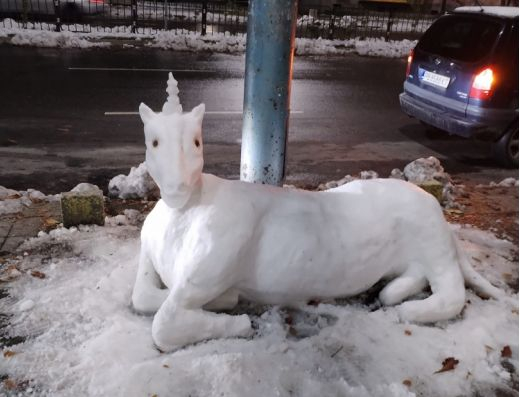 Разплита се мистерията със странното животно, появило се в Пловдив след снегокалипсиса