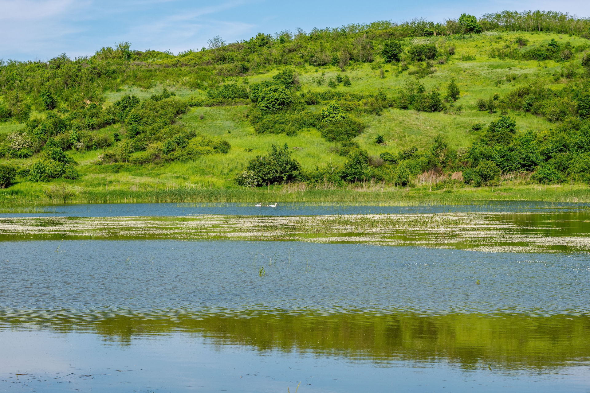 Лебедовите езера - скритата прелест на Родопите