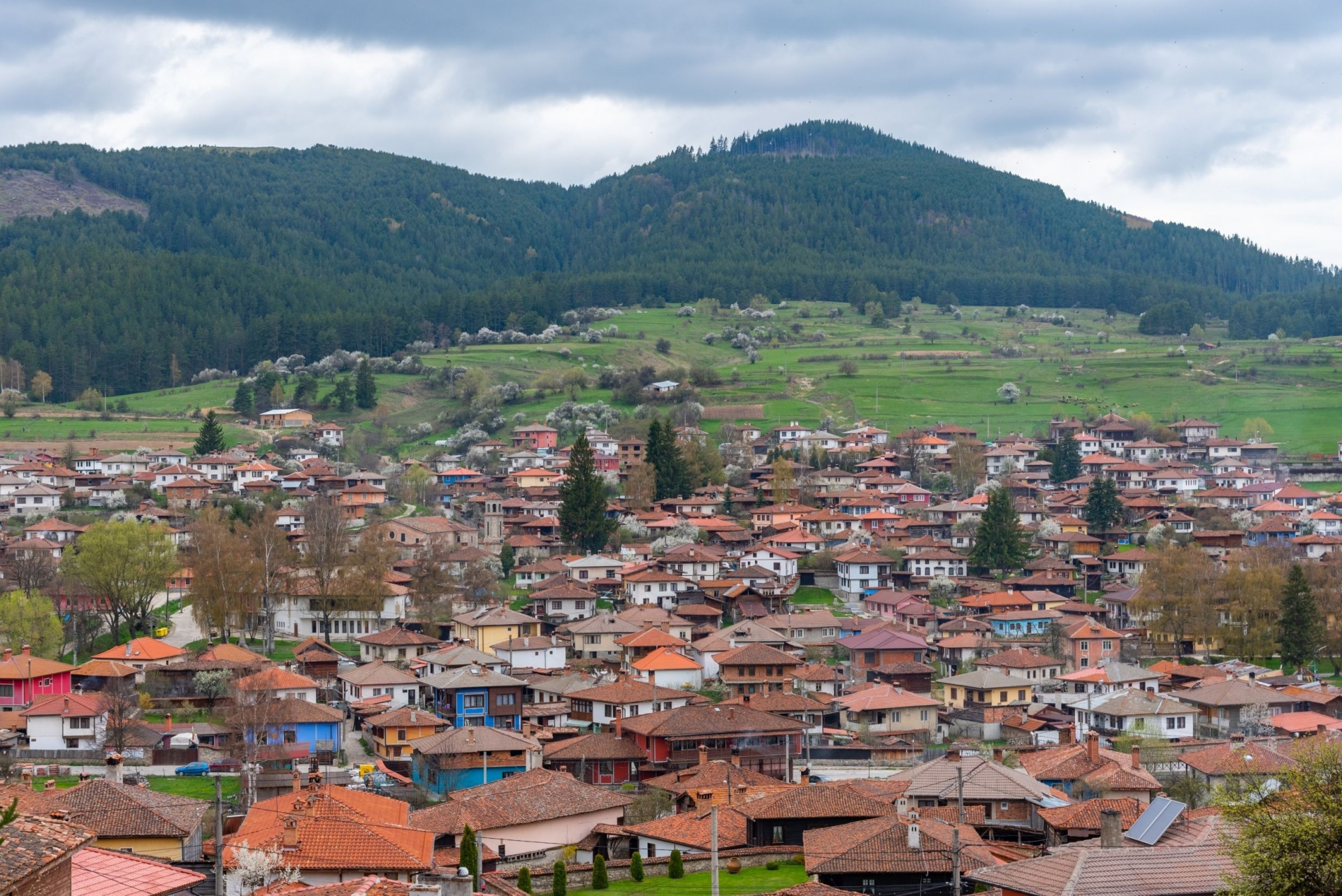 Урок по история: Кой емблематичен български град се е казвал Женско поле?