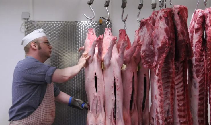 Ужасяващи кадри от свинеферма - какво месо ядем