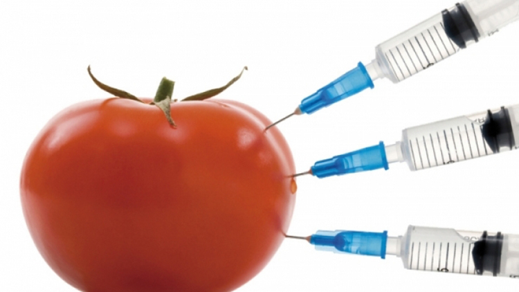 Решено: Ще ни тъпчат с ГМО храни без да знаем, ето как ще стане