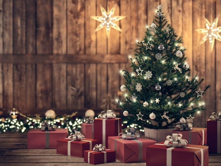 Новогодишните елхи: Аромат на радост или скрита заплаха?