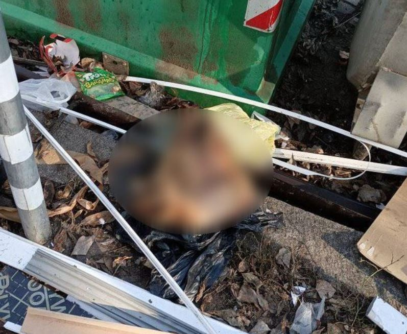 Зловещо: Жена откри отрязана глава в центъра на София СНИМКИ