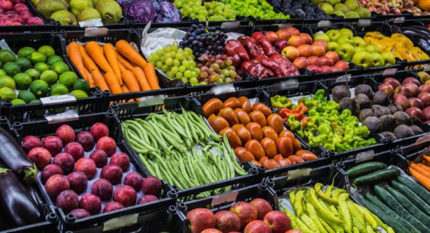 Възмущение сред производителите: ГМО зеленчуци в България