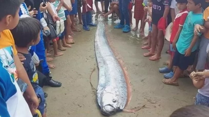 Тайландски рибари уловиха дълбоководно чудовище, предвещаващо мощно земетресение СНИМКИ