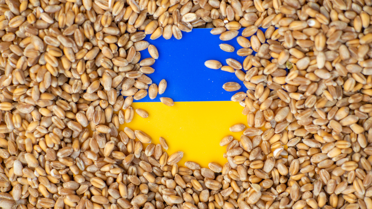 България и още 4 държави с извънреден ход за украинското зърно