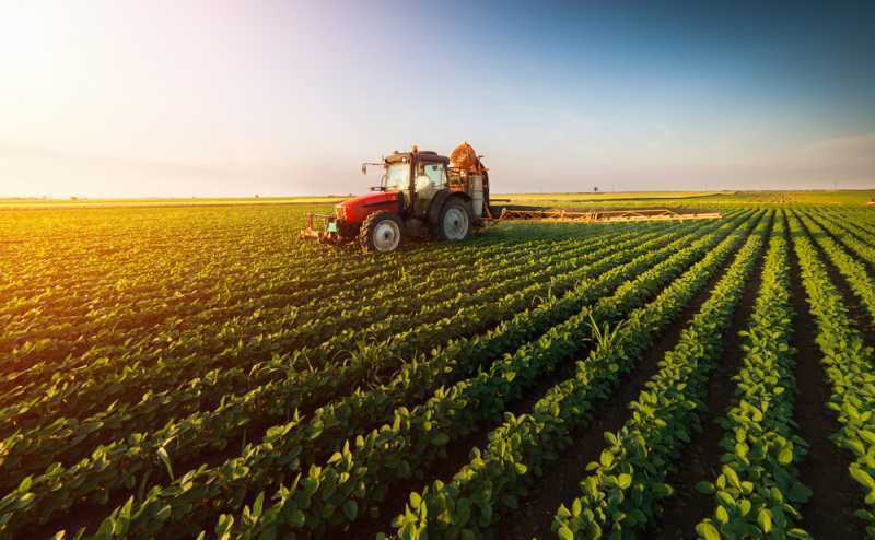 Големи промени в наемите на земя: Зърнопроизводители заплашиха със...