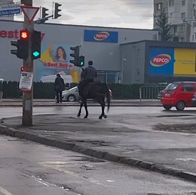 Този див, див Люлин! Каубой възпитано пресича с коня си на светофар ВИДЕО
