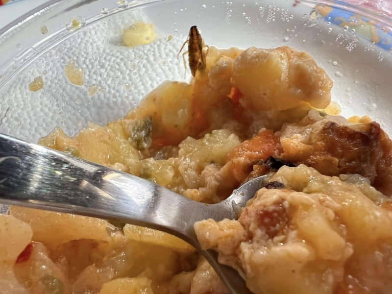 Отврат: Майка откри нещо гнусно в храна от детската кухня в Монтана СНИМКИ