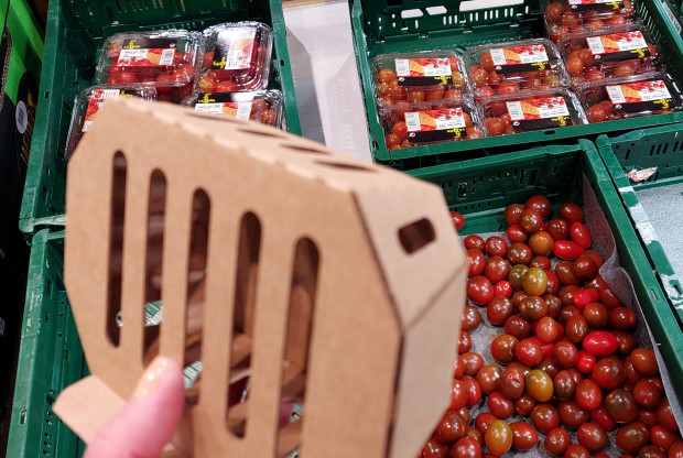 Алтернатива: Една от големите вериги пуснала картонени кутии за малки по размер зеленчуци и плодове