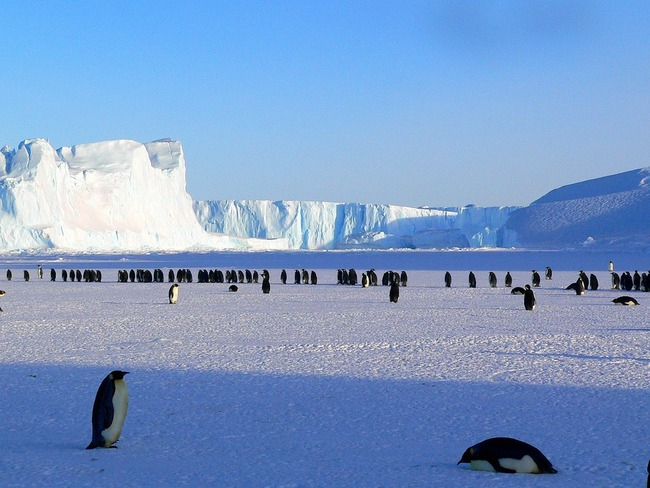10 мега странни правила за пътуване в Антарктида