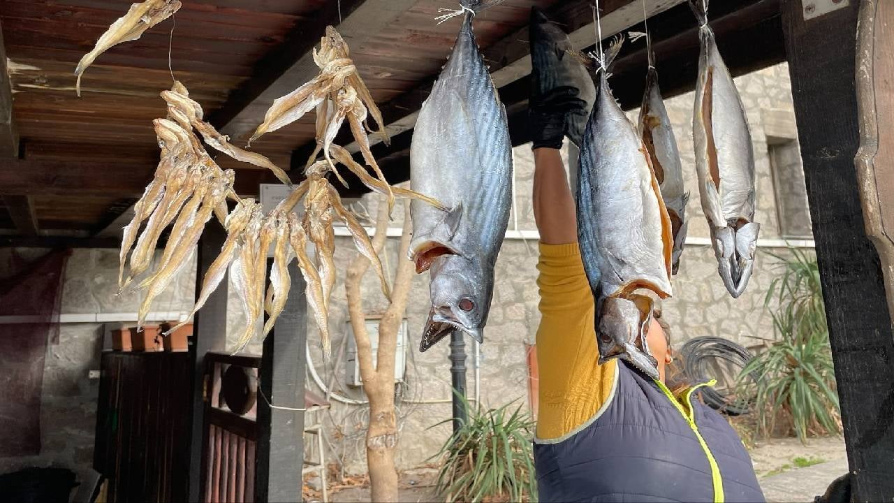 Морето край Созопол завря от любима на българина риба, народът граби като луд СНИМКИ 