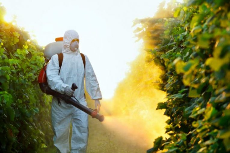 Ужас: Световна организация призна, че нагъваме яко пестициди с тези храни 