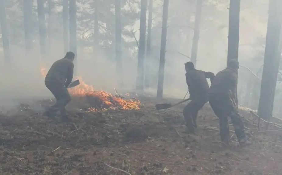 Огнен ад в Родопите, вече 300 декара са засегнати СНИМКИ
