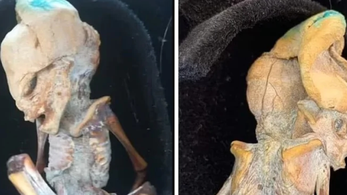 Зловещо: Откриха бебе мумия в Колумбия, ще ви накара да настръхнете! СНИМКИ
