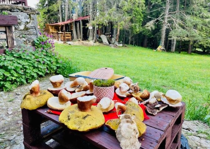 Необикновена хижа в Родопите: Топ храна, горски сватби и...