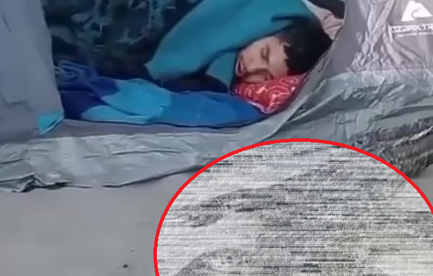 Турист легна да спи в палатката си на плажа, а до главата му се появи смъртна опасност ВИДЕО