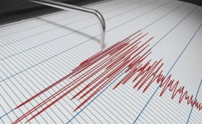 Силно земетресение разтърси Япония