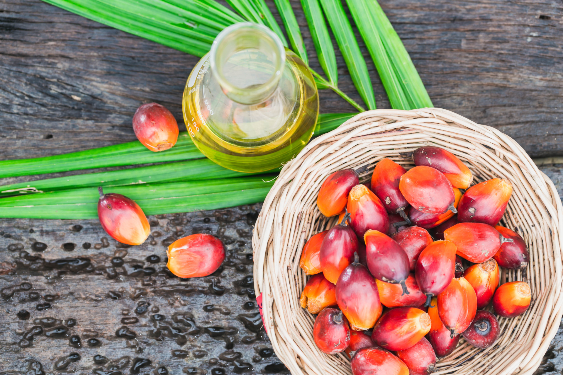 Вредно или полезно: Цялата истина за палмовото масло