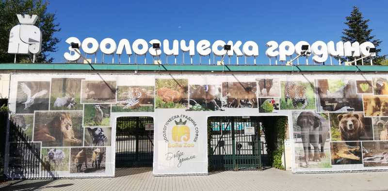 Тази СНИМКА от зоопарка в София втрещи всички: Ето защо клетките са празни