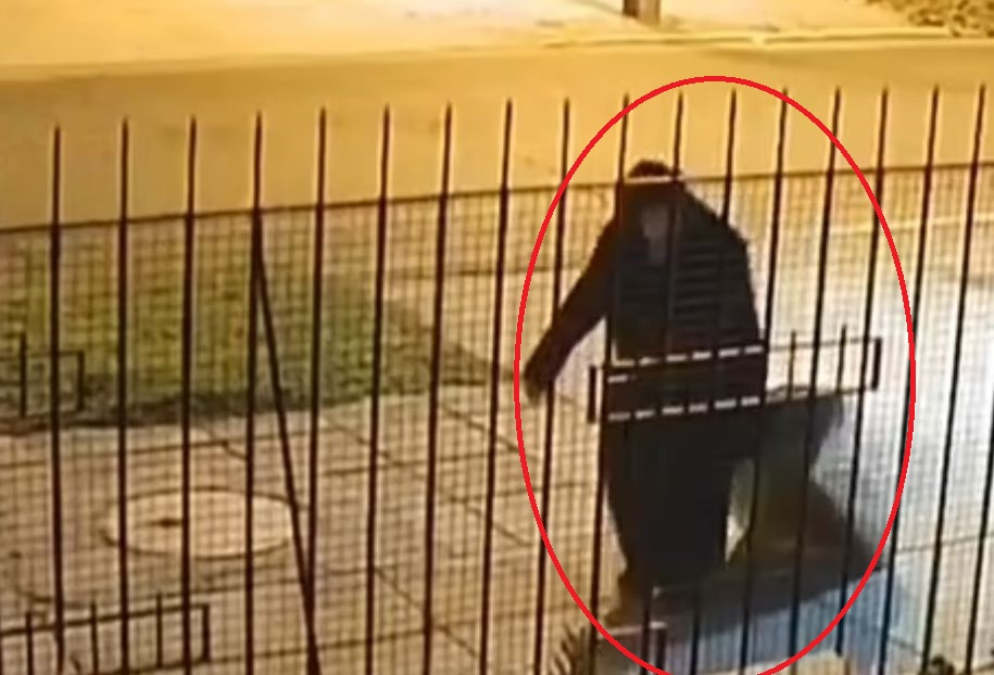 Шок! 80-годишна монахиня влачи в куфар трупа на своя сестра ВИДЕО 18+