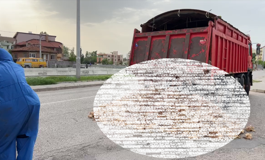 Трупове се изсипаха от камион в Хасково, миризмата е страшна ВИДЕО 18+