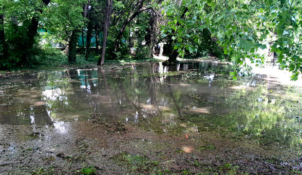 Нещо страховито се появи край Старите гробища във Варна