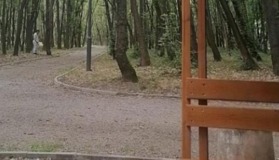 Извратеняк наказа питона пред очите на куп жени в столичен парк 