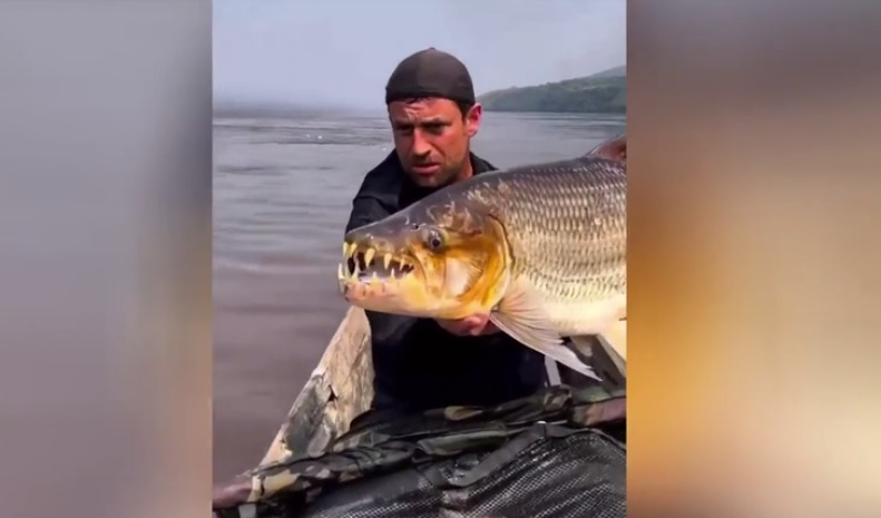 Рибар показа една от най-опасните риби в света ВИДЕО
