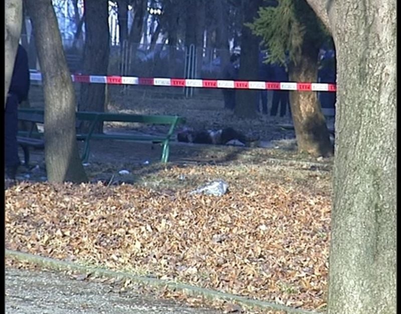 Ученици убиха от бой студент в Борисовата градина в София СНИМКИ