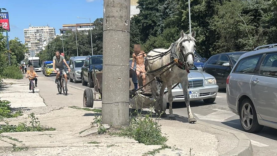 Не ни трябват електромобили, най-екологичният транспорт шпори из София 