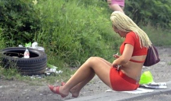 Знойна проститутка спря сръбски тираджия на АМ "Марица", а минути по-късно...