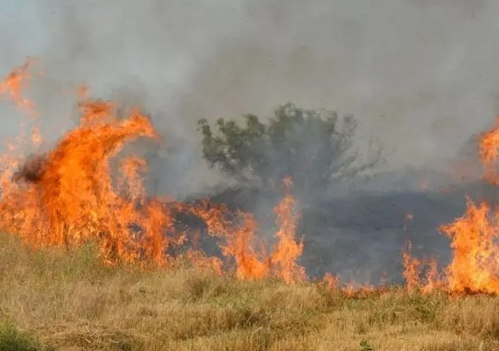 Адът край Стара Загора! Огромният пожар бушува цяла нощ, борбата продължава