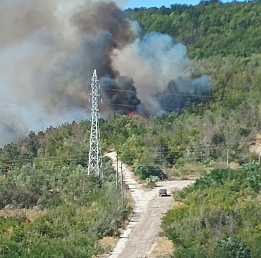 Варна гори! Пламъци застигат краен квартал, тръгнали са и към съседните села СНИМКИ 