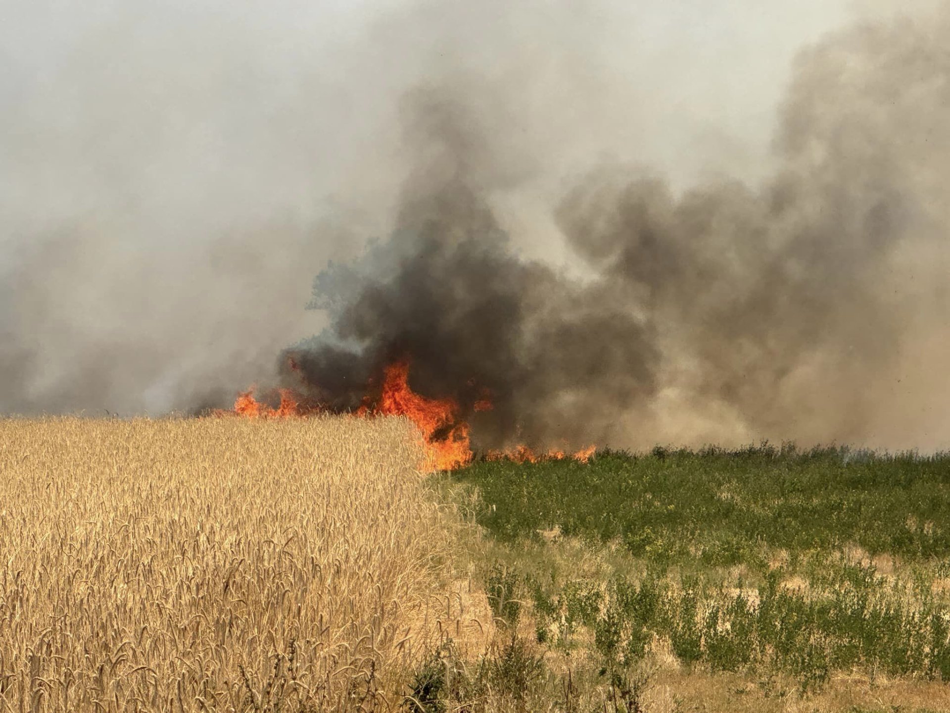 Огънят се разраства: Бедствено положение в още една община