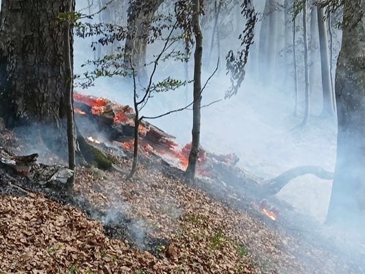 Военен ужас по гръцката граница край Сандански, а огненият ад напредва към България
