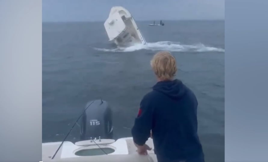 Кит изплува внезапно от водата и се вряза в лодка с мъж ВИДЕО