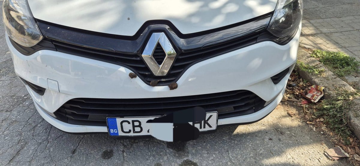 Огромна гнусотия сътвориха с кола на жена в Асеновград 