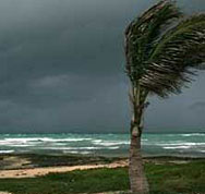 Най-малко 11 са жертвите на тропическата буря “Фей” в САЩ