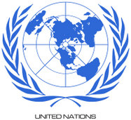 Съветът за сигурност на ООН удължи мандата на сините каски в Чад