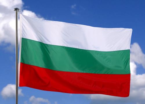 Хиляда евро глоба от съда за развятото българско знаме във Велес 